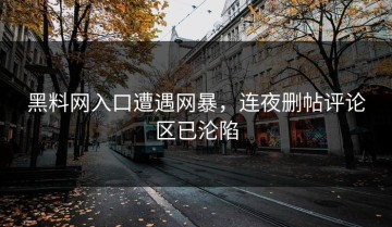 黑料网入口遭遇网暴，连夜删帖评论区已沦陷