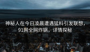 神秘人在今日凌晨遭遇猛料引发联想，91网全网炸锅，详情探秘