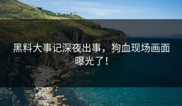 黑料大事记深夜出事，狗血现场画面曝光了！