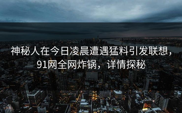 神秘人在今日凌晨遭遇猛料引发联想，91网全网炸锅，详情探秘