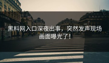 黑料网入口深夜出事，突然发声现场画面曝光了！