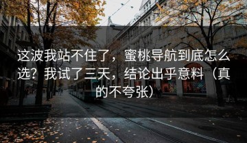 这波我站不住了，蜜桃导航到底怎么选？我试了三天，结论出乎意料（真的不夸张）
