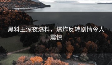 黑料王深夜爆料，爆炸反转剧情令人震惊