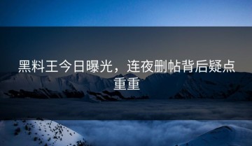 黑料王今日曝光，连夜删帖背后疑点重重