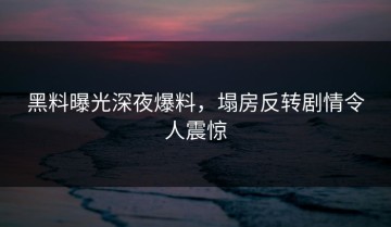 黑料曝光深夜爆料，塌房反转剧情令人震惊
