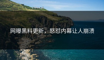 网曝黑料更新，怒怼内幕让人崩溃