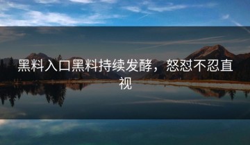 黑料入口黑料持续发酵，怒怼不忍直视