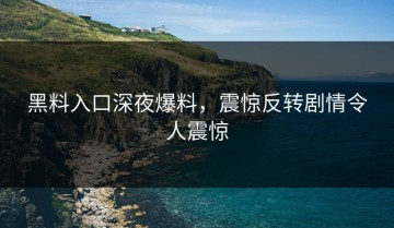 黑料入口深夜爆料，震惊反转剧情令人震惊