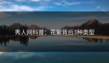 秀人网科普：花絮背后3种类型