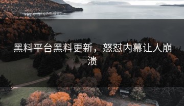 黑料平台黑料更新，怒怼内幕让人崩溃