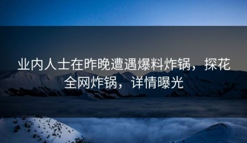 业内人士在昨晚遭遇爆料炸锅，探花全网炸锅，详情曝光