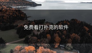 免费看打扑克的软件