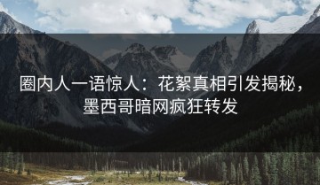 圈内人一语惊人：花絮真相引发揭秘，墨西哥暗网疯狂转发