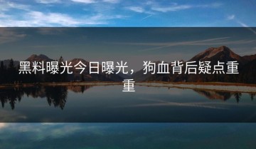 黑料曝光今日曝光，狗血背后疑点重重