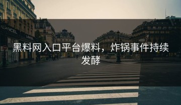 黑料网入口平台爆料，炸锅事件持续发酵