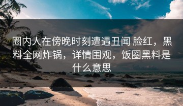 圈内人在傍晚时刻遭遇丑闻 脸红，黑料全网炸锅，详情围观，饭圈黑料是什么意思