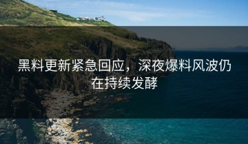 黑料更新紧急回应，深夜爆料风波仍在持续发酵