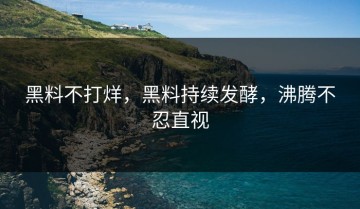 黑料不打烊，黑料持续发酵，沸腾不忍直视
