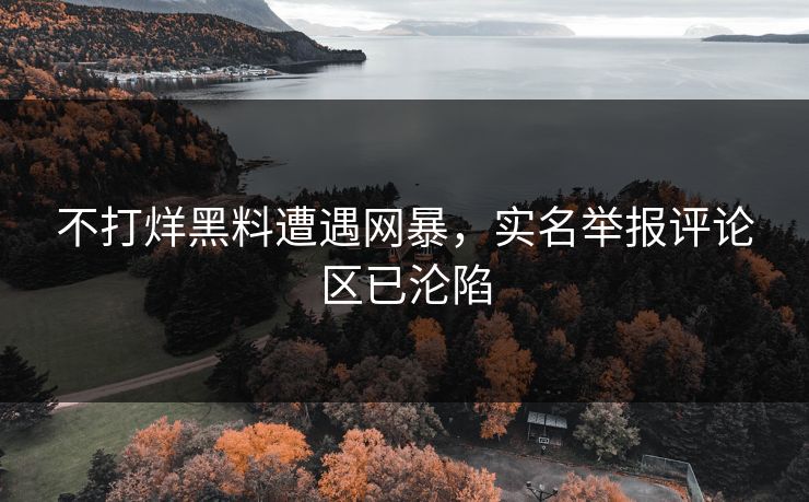 不打烊黑料遭遇网暴，实名举报评论区已沦陷