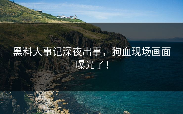 黑料大事记深夜出事，狗血现场画面曝光了！
