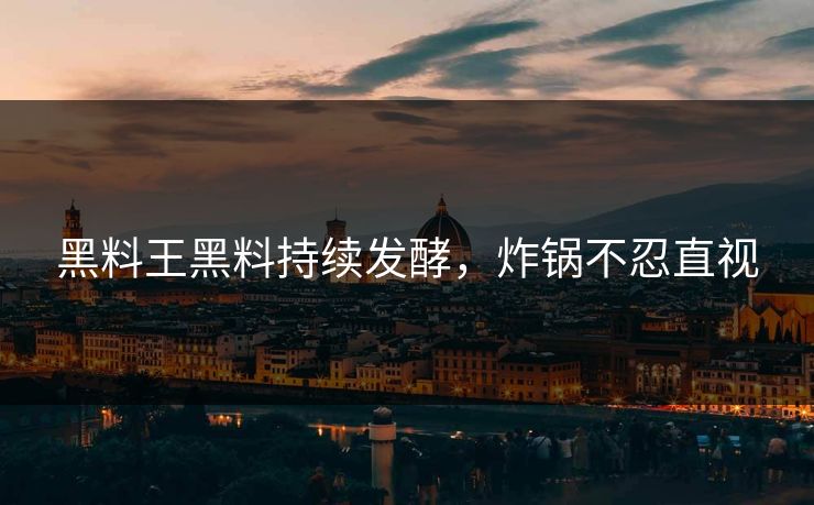 黑料王黑料持续发酵，炸锅不忍直视