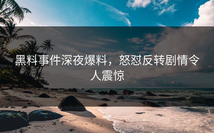 黑料事件深夜爆料，怒怼反转剧情令人震惊