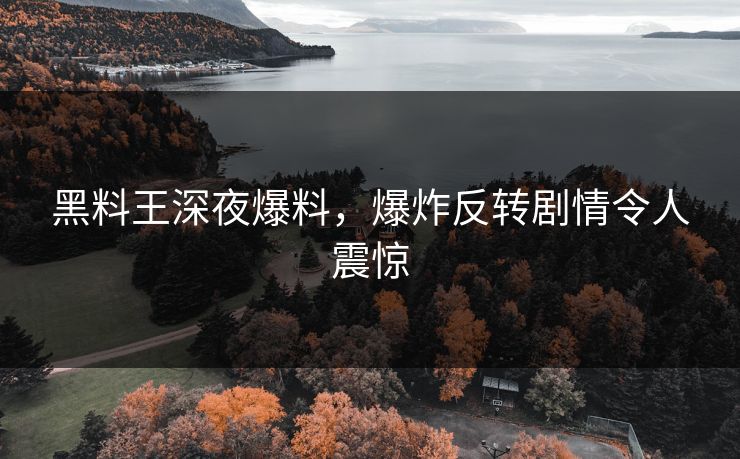 黑料王深夜爆料，爆炸反转剧情令人震惊