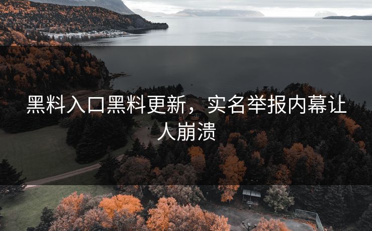黑料入口黑料更新，实名举报内幕让人崩溃