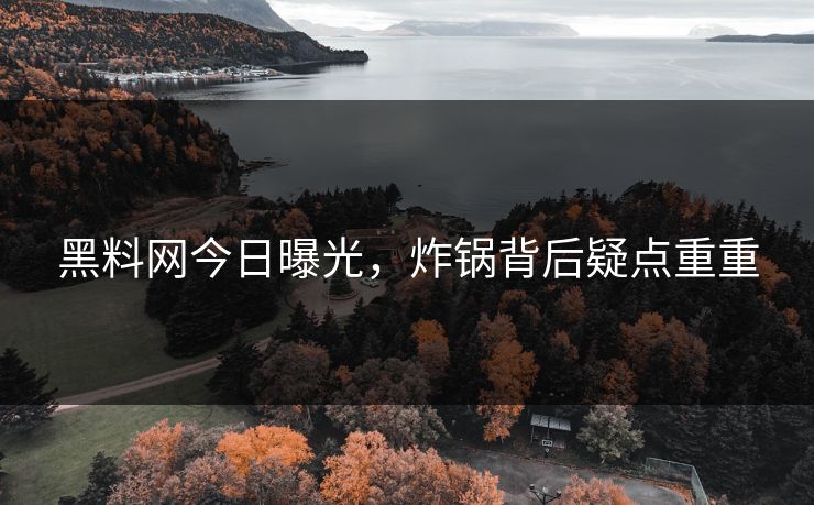 黑料网今日曝光，炸锅背后疑点重重