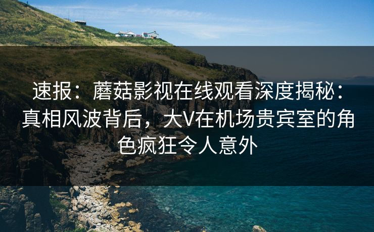 速报：蘑菇影视在线观看深度揭秘：真相风波背后，大V在机场贵宾室的角色疯狂令人意外